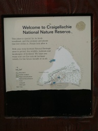 Image on trail